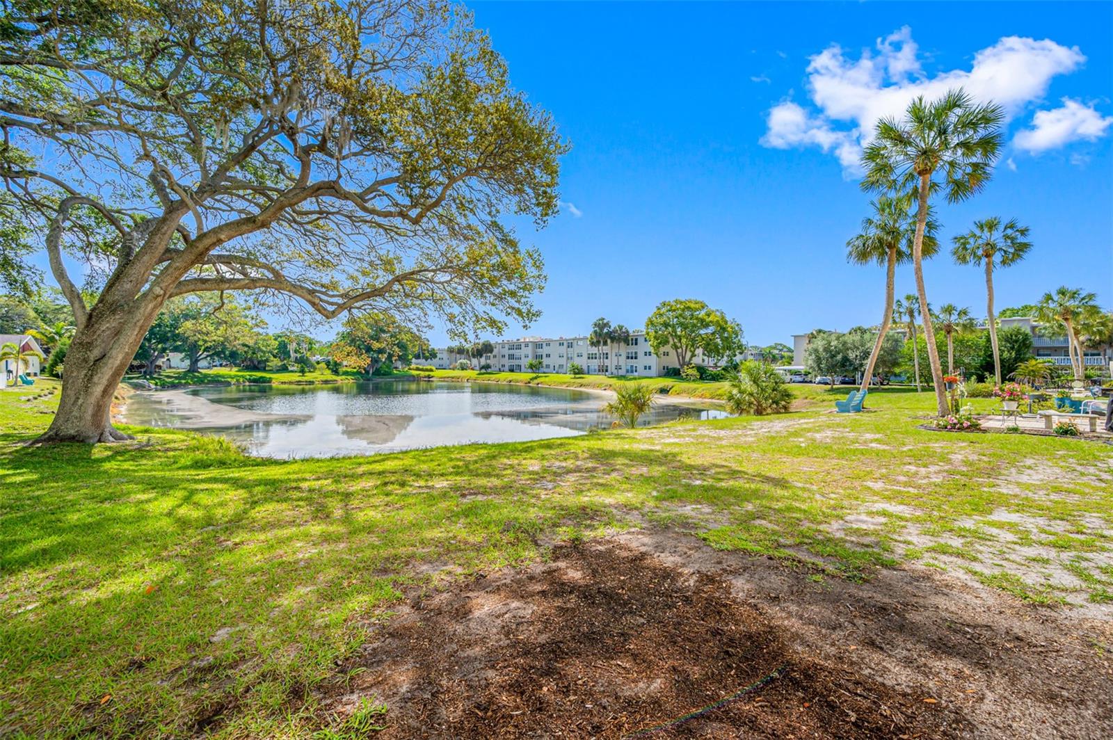 821 DELEON CT #103, DUNEDIN, FL, 34698