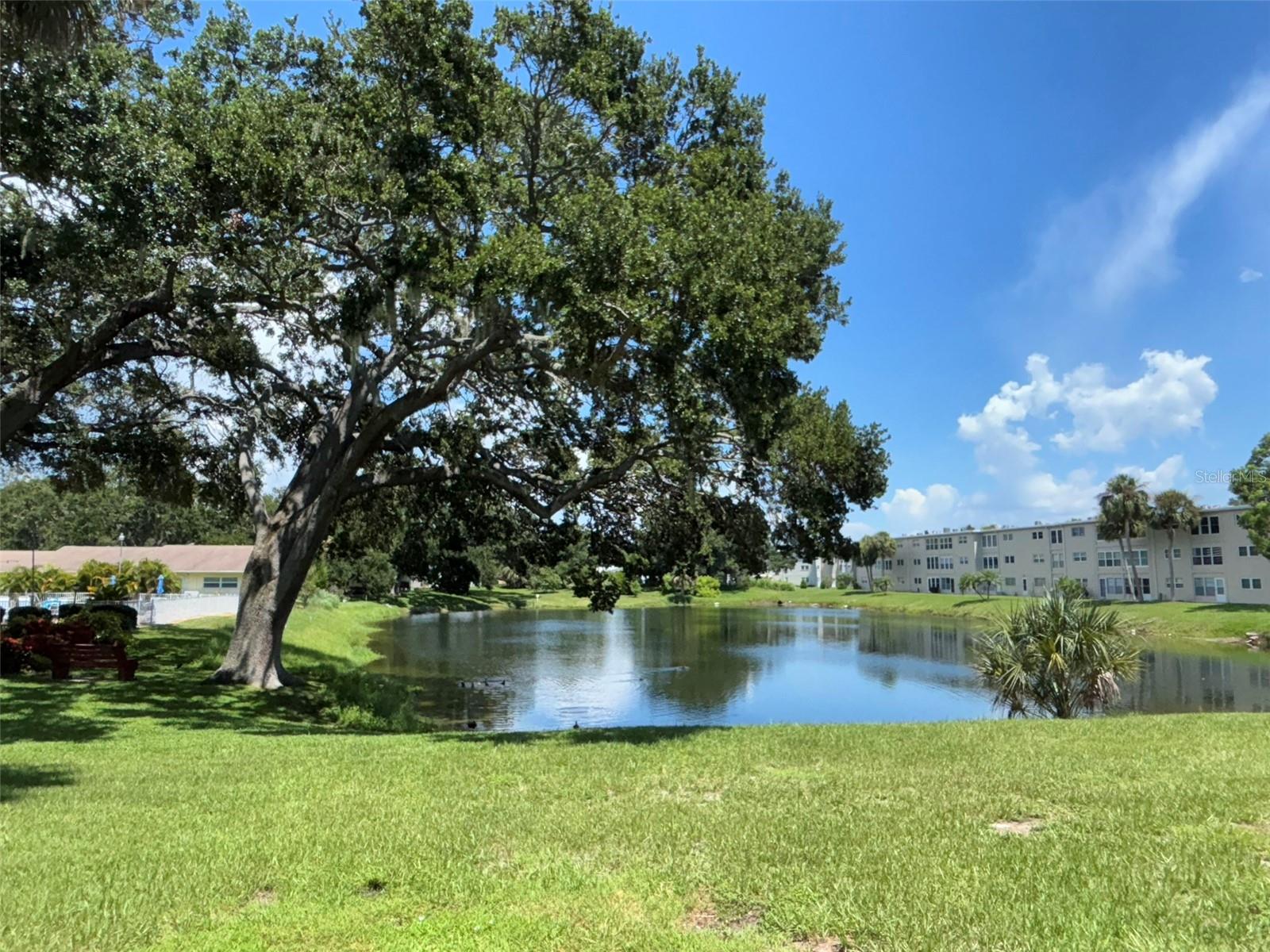 821 DELEON CT #103, DUNEDIN, FL, 34698