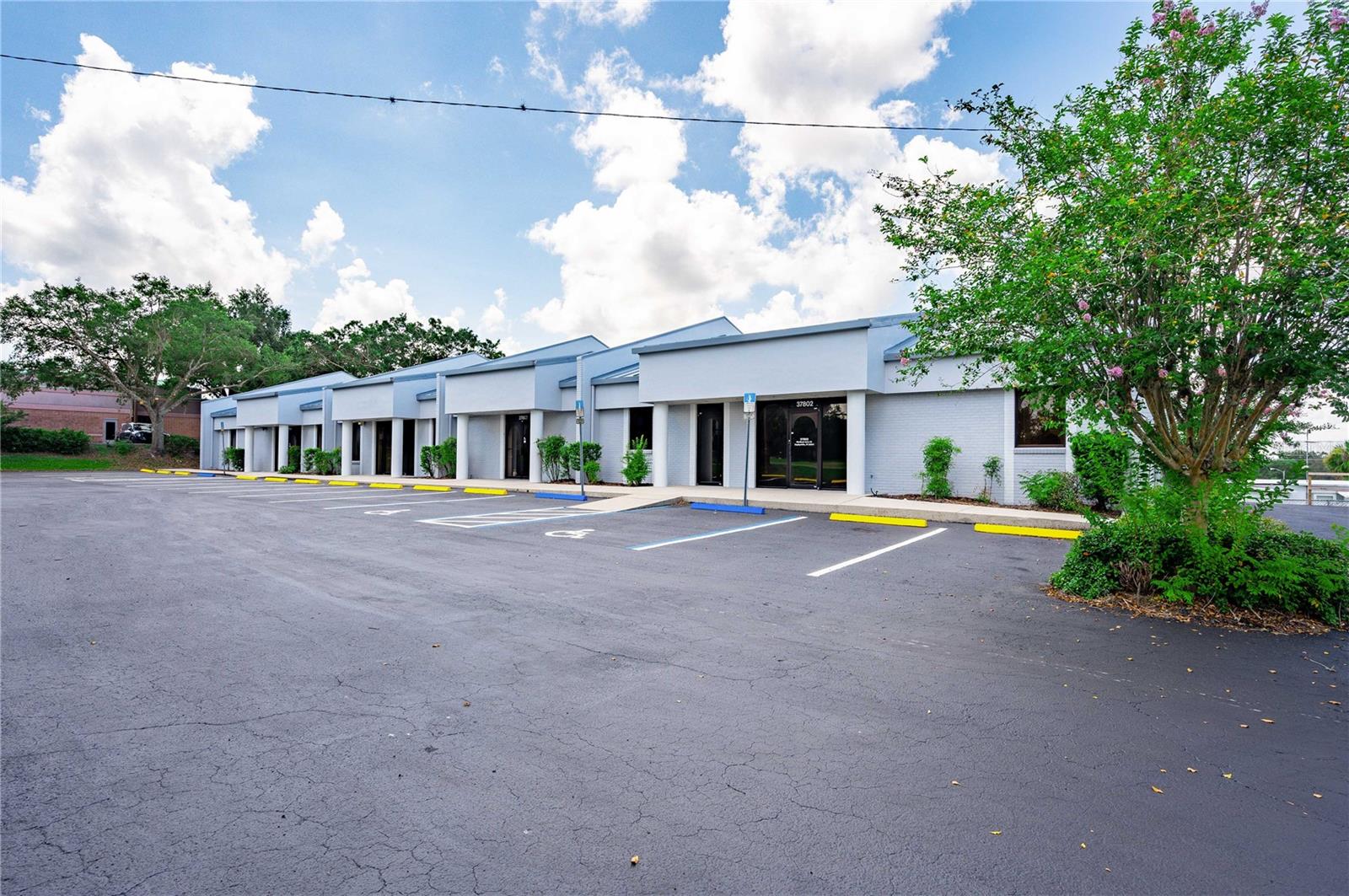 37802 MEDICAL ARTS CT, ZEPHYRHILLS, FL, 33541