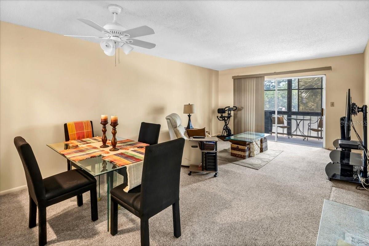 Dining and Living Room area