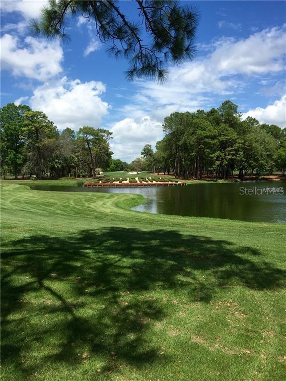 36750 US HIGHWAY 19 N #2879, PALM HARBOR, FL, 34684