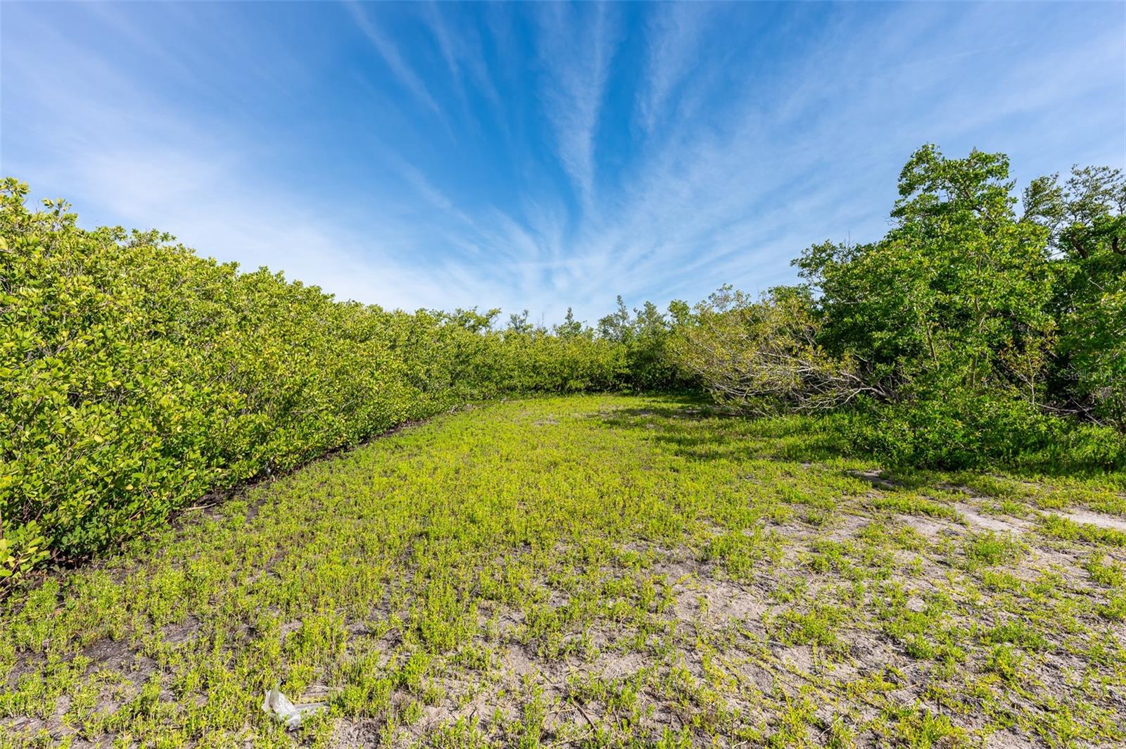 806 E MARION AVE, PUNTA GORDA, FL, 33950