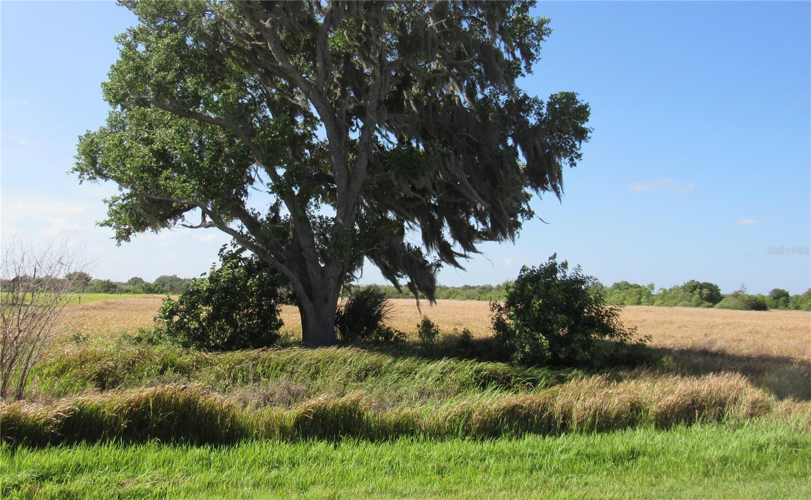 445 METHENY RD, WAUCHULA, FL, 33873