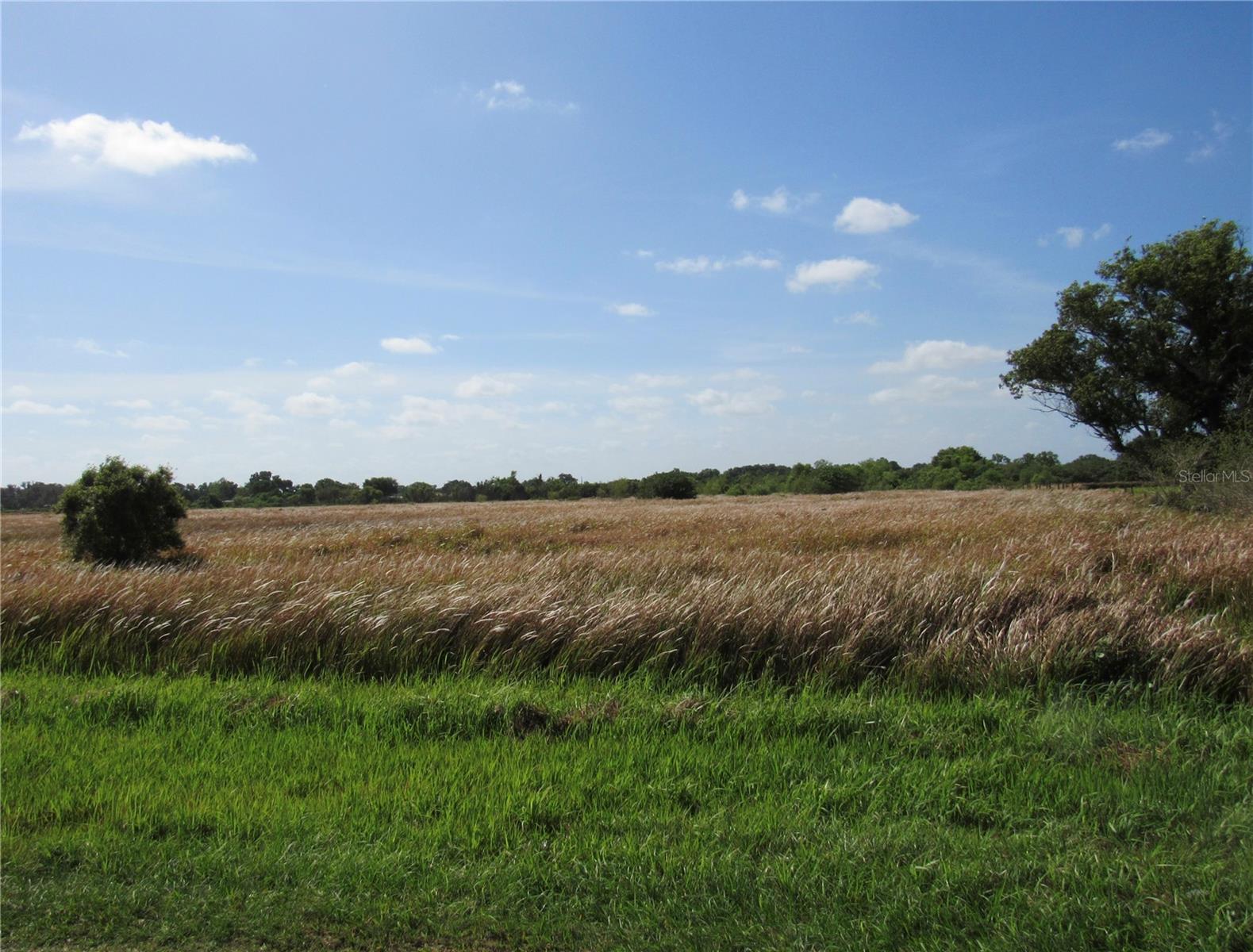 445 METHENY RD, WAUCHULA, FL, 33873