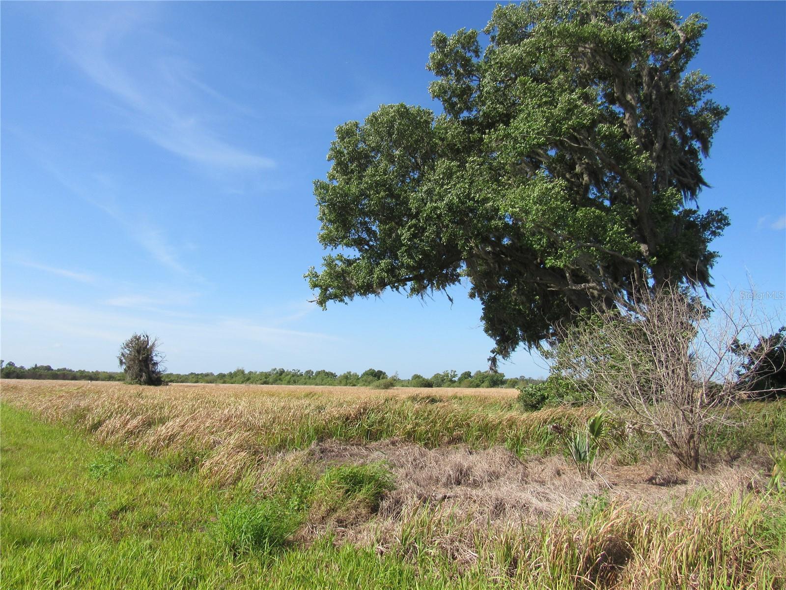 445 METHENY RD, WAUCHULA, FL, 33873