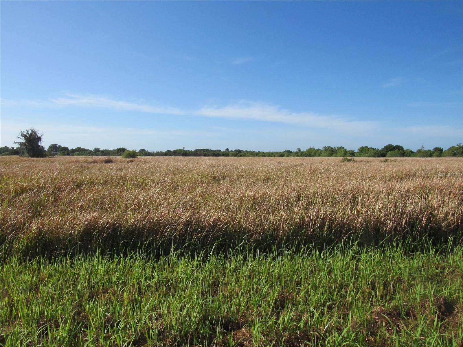 445 METHENY RD, WAUCHULA, FL, 33873