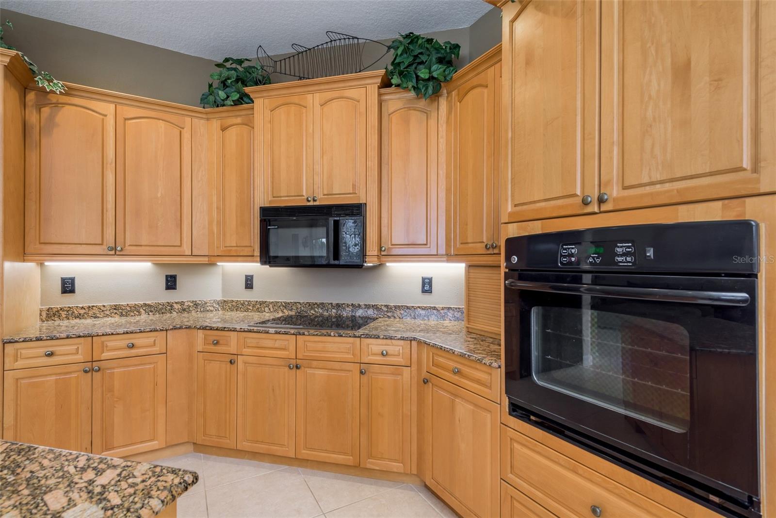 1544 MARY LN, TARPON SPRINGS, FL, 34689