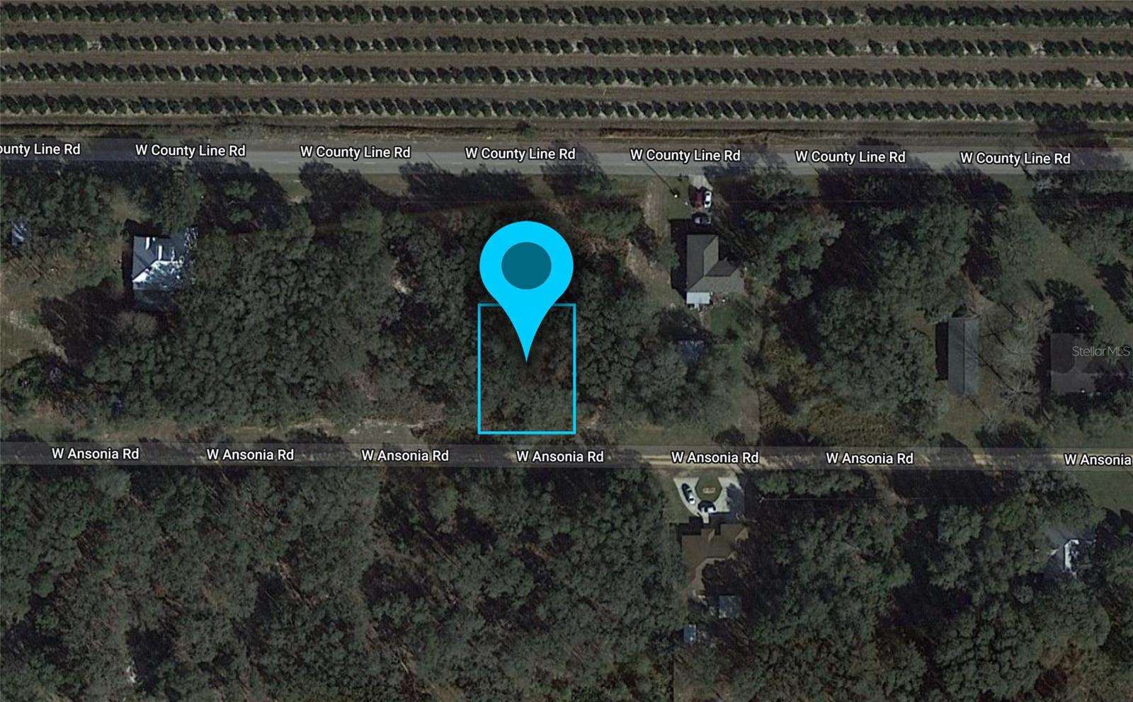 3180 W ANSONIA RD, AVON PARK, FL, 33825