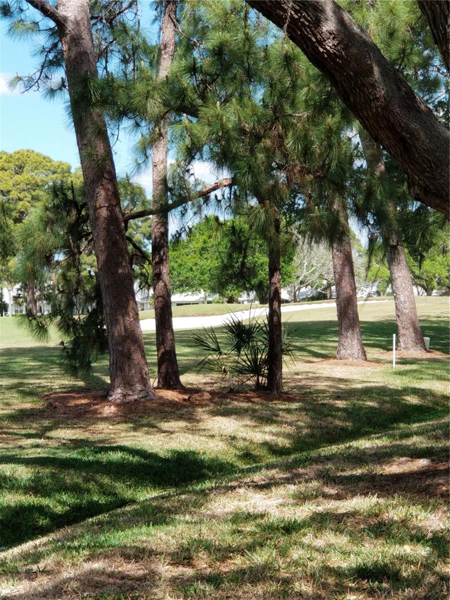 7816 PALM AIRE LN #7816, SARASOTA, FL, 34243