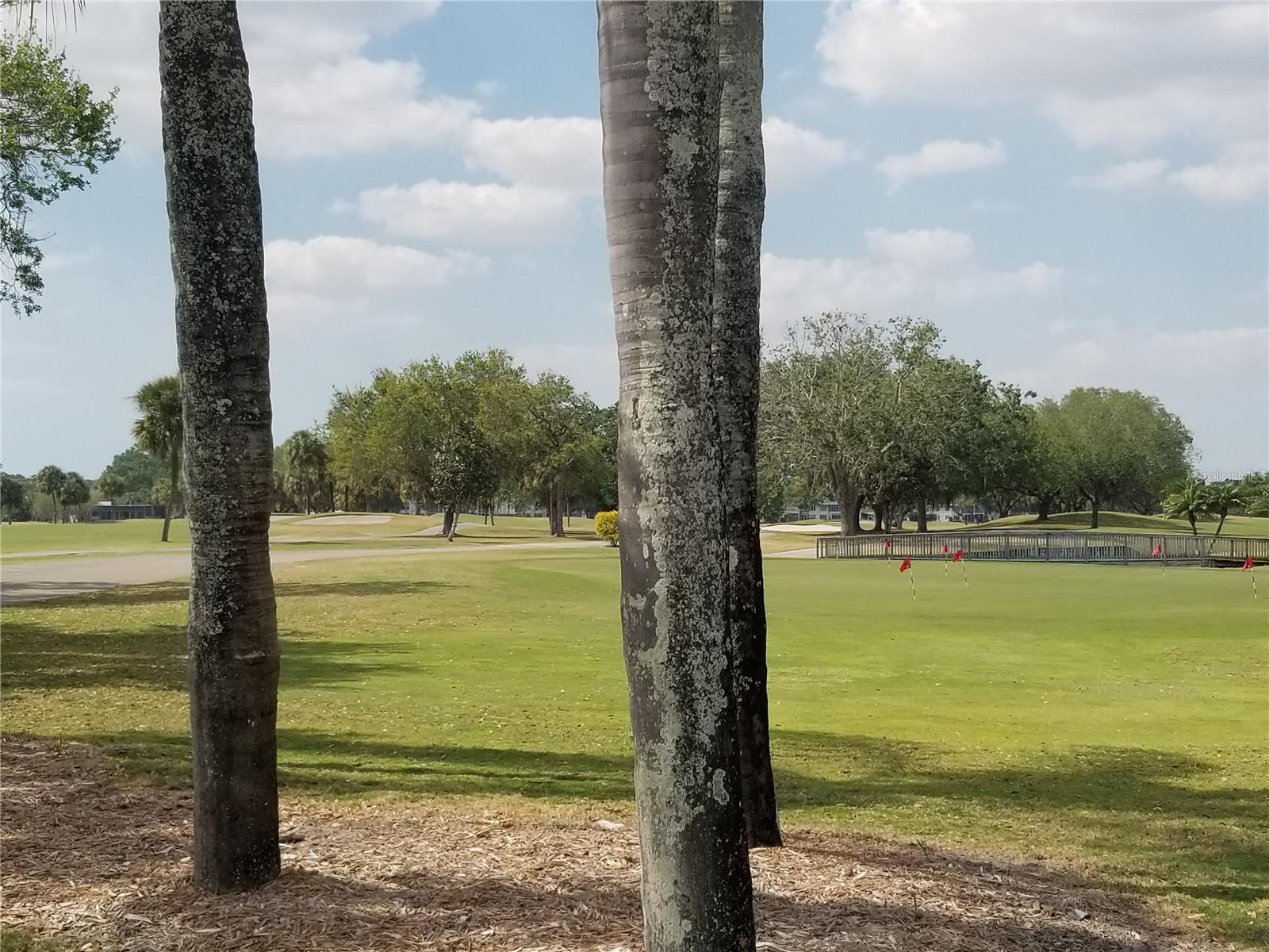 7816 PALM AIRE LN #7816, SARASOTA, FL, 34243