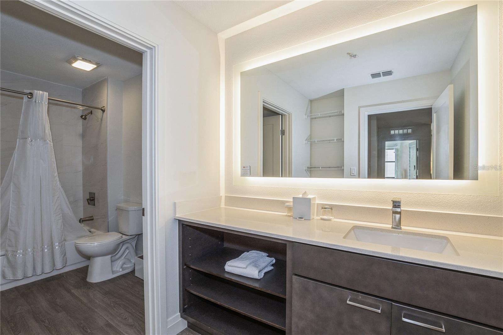 14501 GROVE RESORT AVE #3433, WINTER GARDEN, FL, 34787