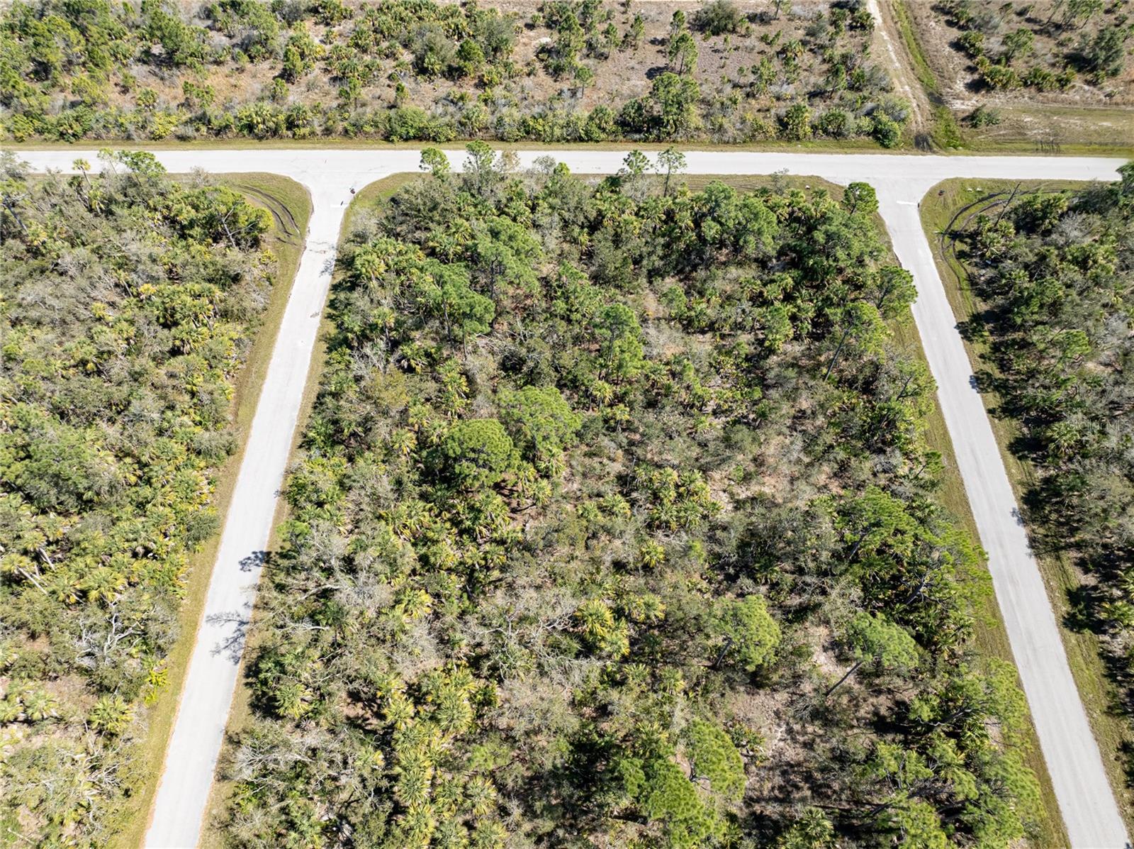 14250 HYDRANGEA AVE, PORT CHARLOTTE, FL, 33953