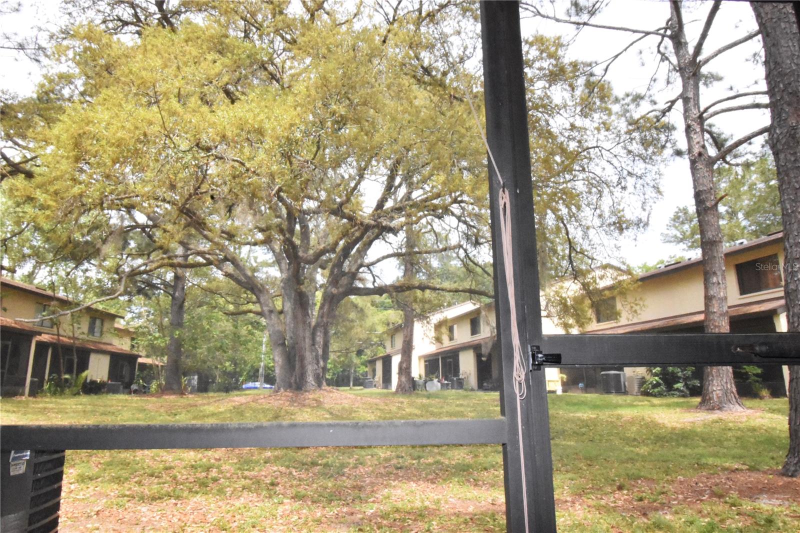 2735 SW 35TH PL #905, GAINESVILLE, FL, 32608
