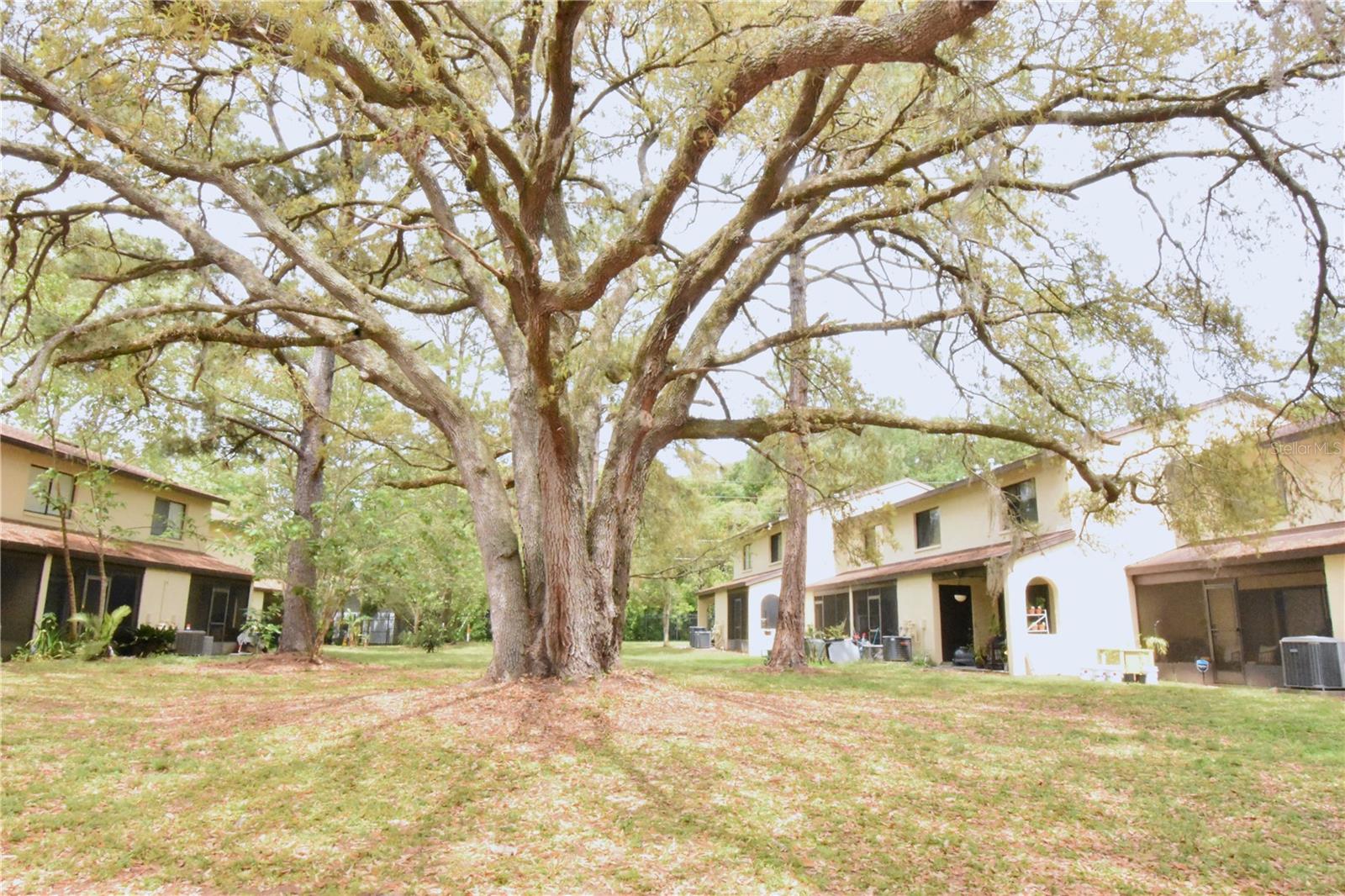2735 SW 35TH PL #905, GAINESVILLE, FL, 32608