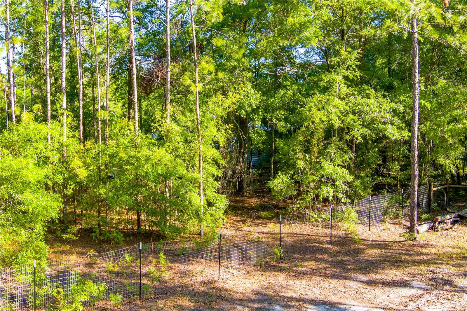 NW GLORIOSA LN, LEE, FL, 32059