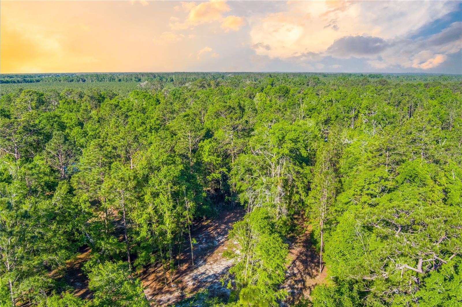 NW GLORIOSA LN, LEE, FL, 32059