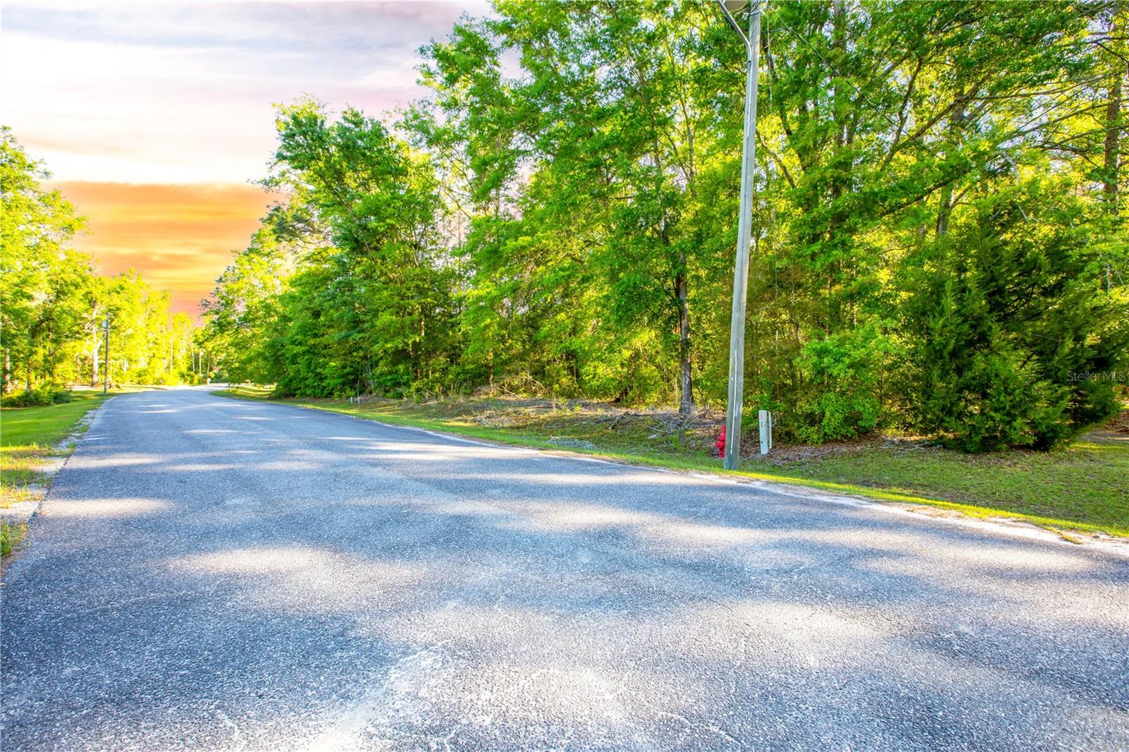 NW GLORIOSA LN, LEE, FL, 32059