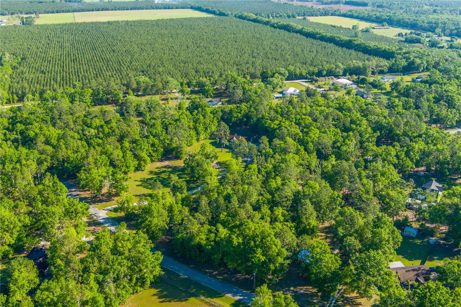 NW GLORIOSA LN, LEE, FL, 32059