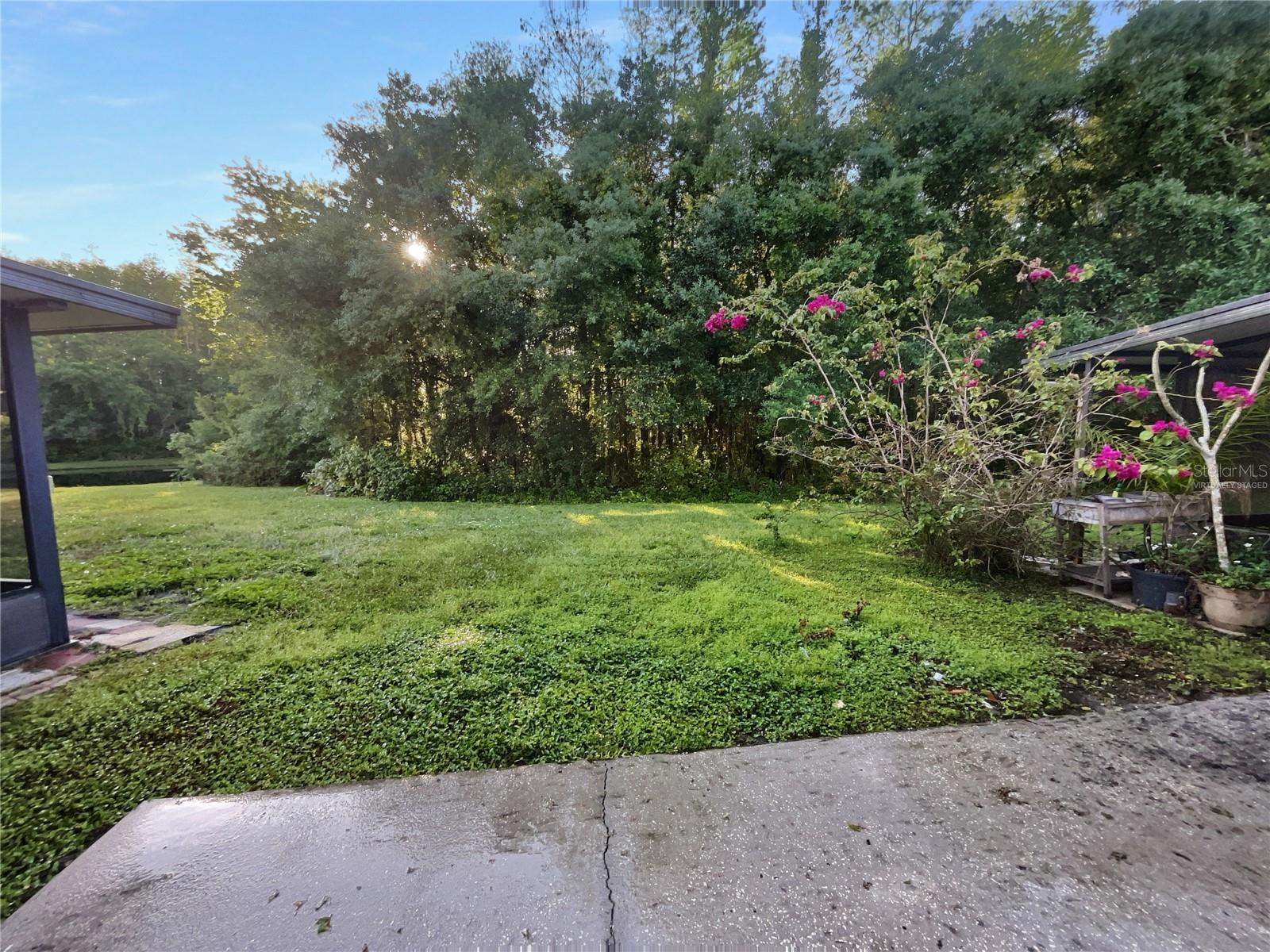 12723 WOOD TRAIL BLVD, TAMPA, FL, 33625