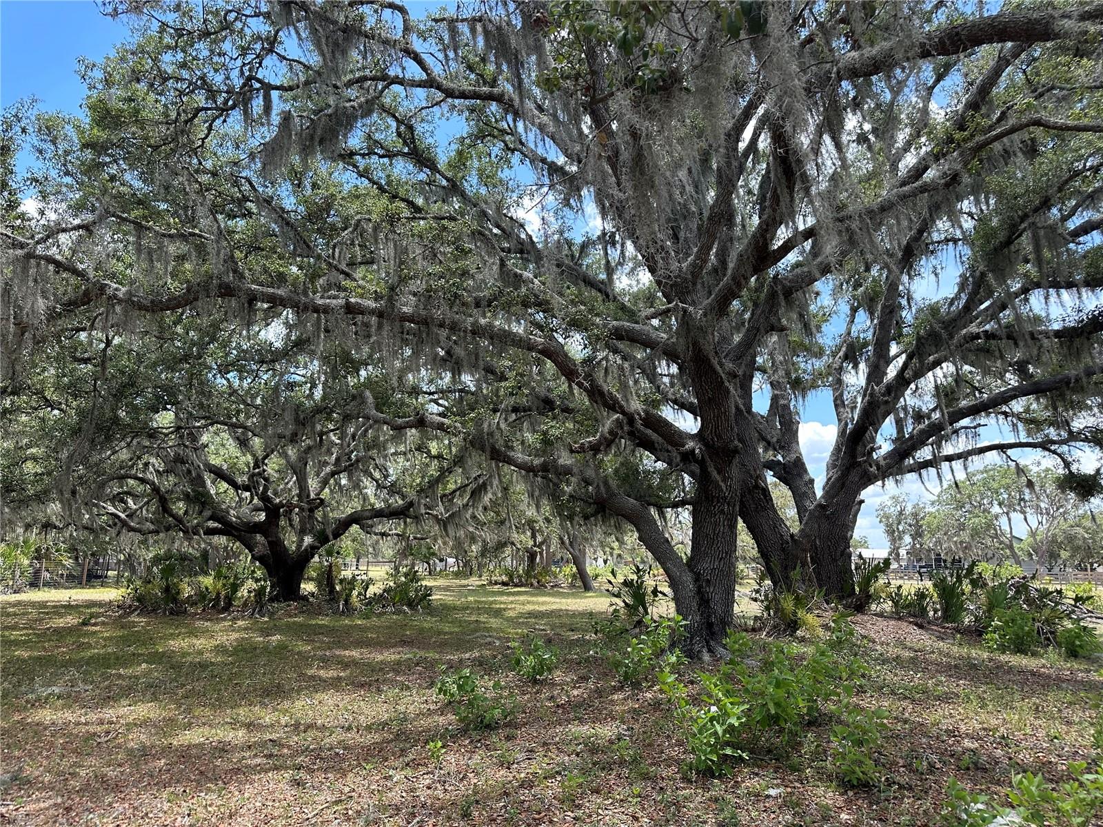 40610 STATE ROAD 64 E, MYAKKA CITY, FL, 34251