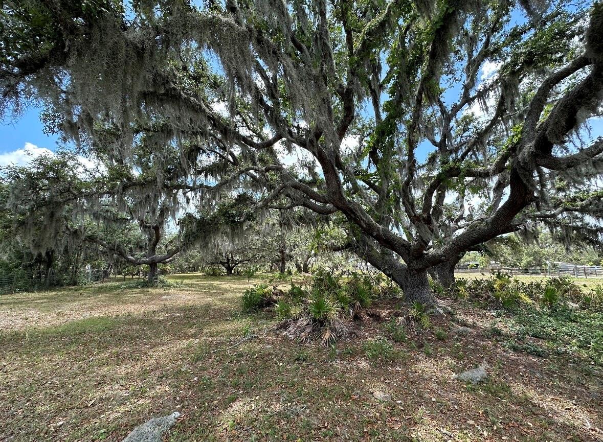 40610 STATE ROAD 64 E, MYAKKA CITY, FL, 34251