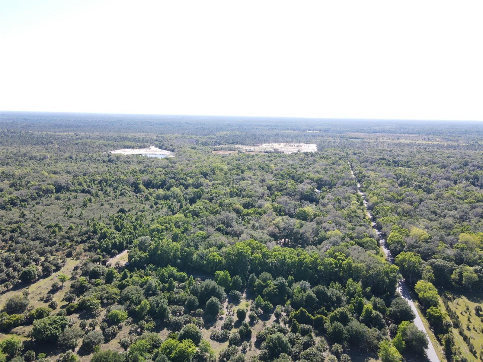 405 STACY GROVE RD, OAK HILL, FL, 32759