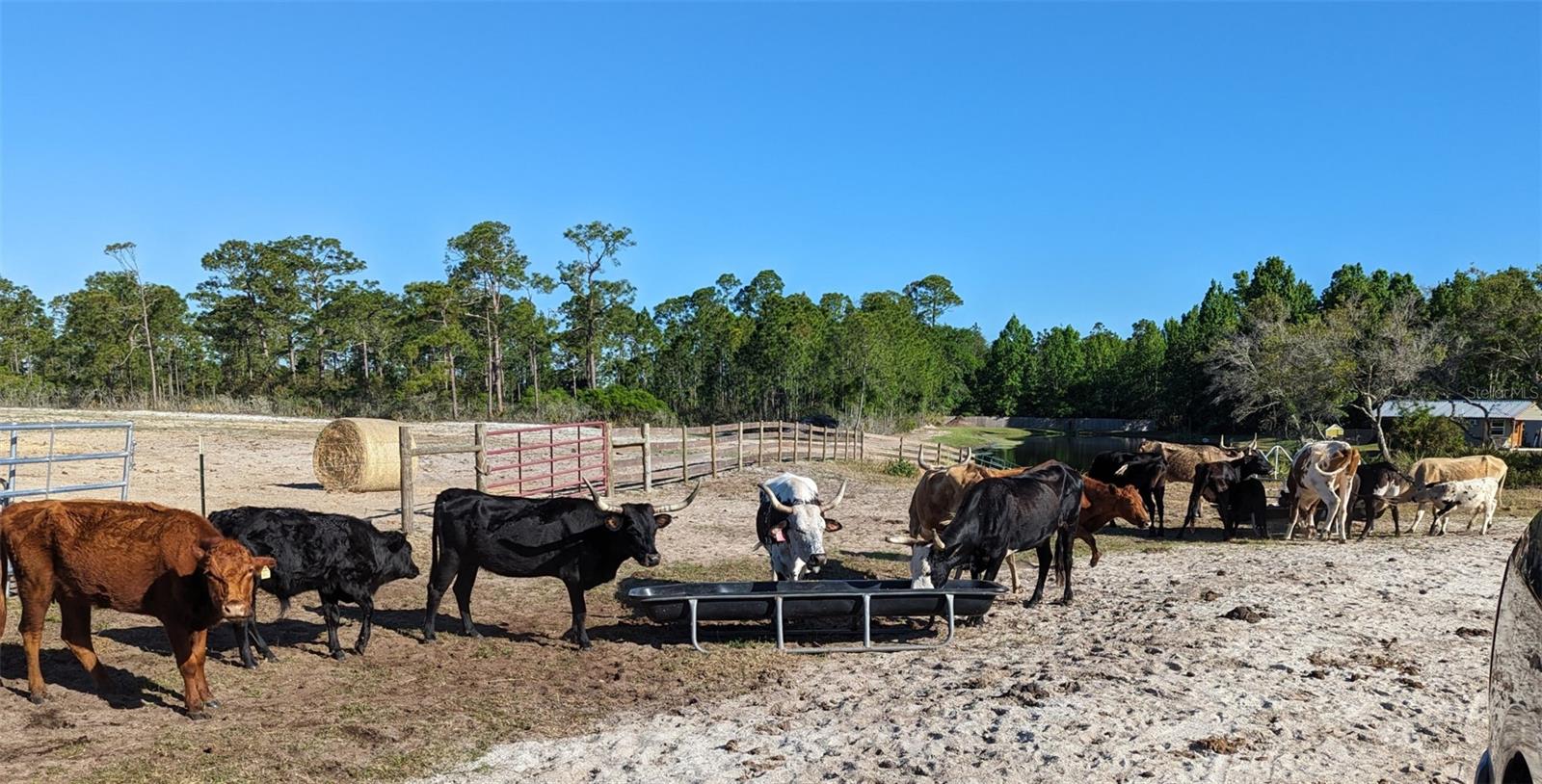 405 STACY GROVE RD, OAK HILL, FL, 32759
