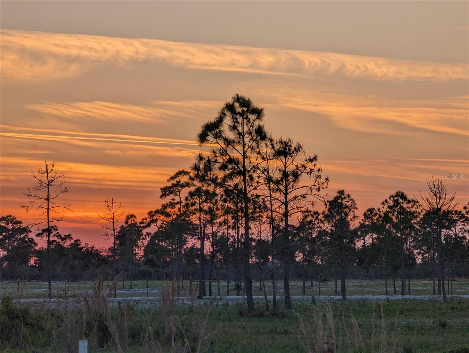 405 STACY GROVE RD, OAK HILL, FL, 32759