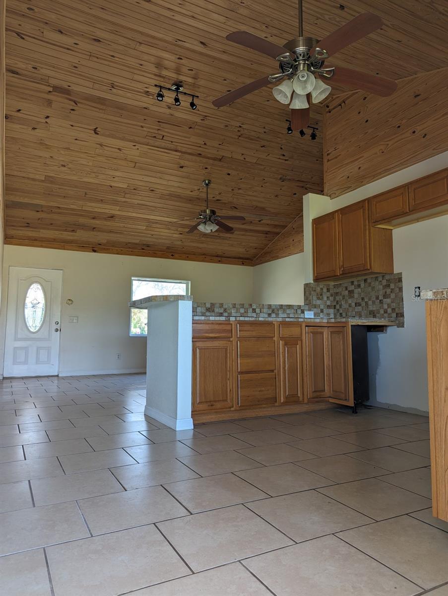 405 STACY GROVE RD, OAK HILL, FL, 32759