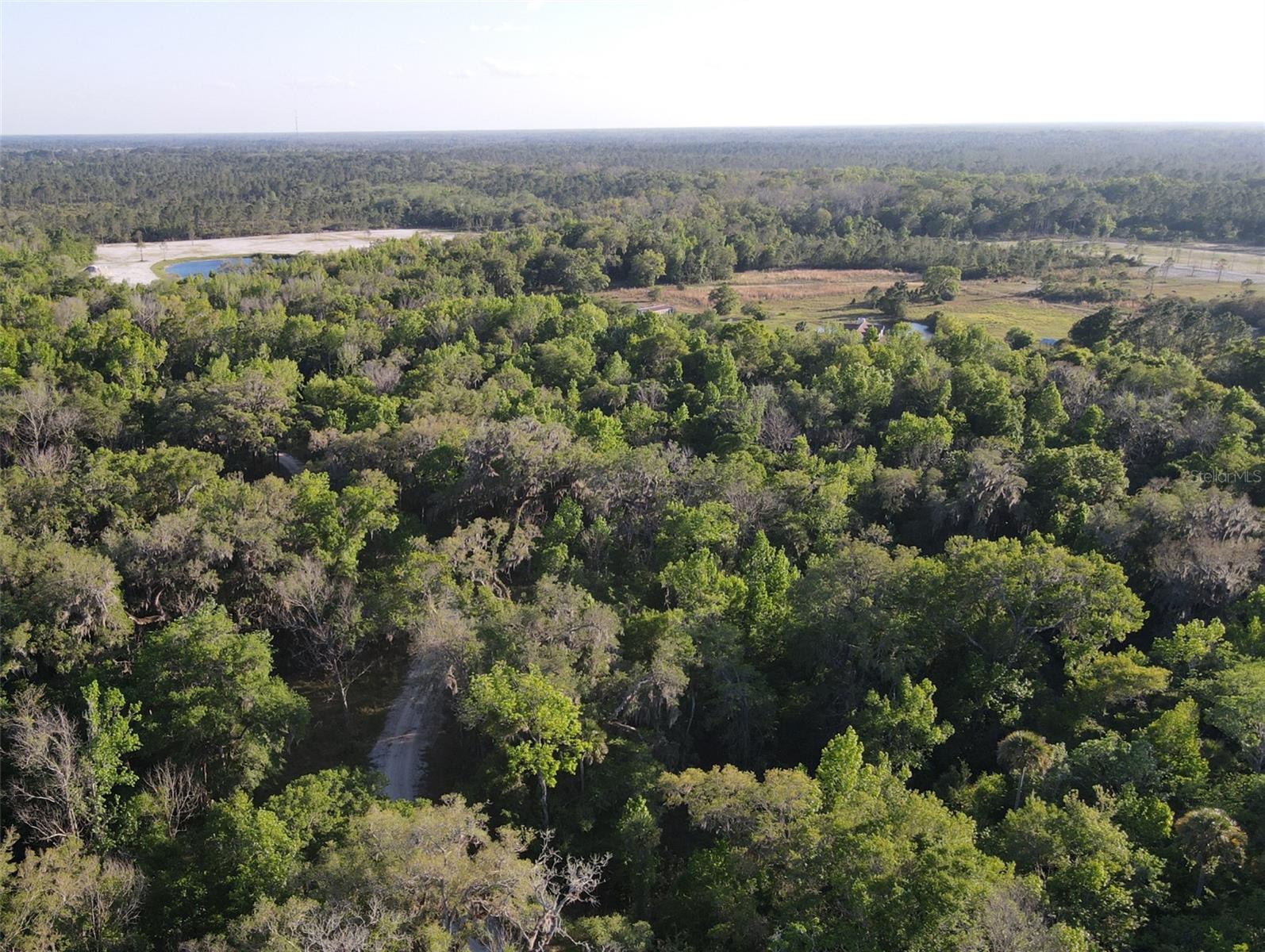 405 STACY GROVE RD, OAK HILL, FL, 32759