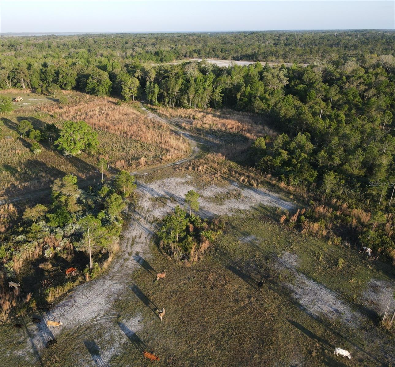 405 STACY GROVE RD, OAK HILL, FL, 32759