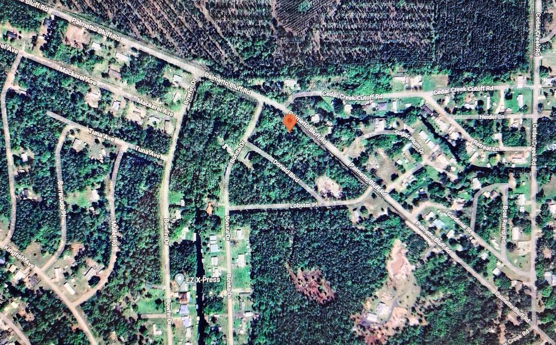 581 PALMETTO BLUFF RD, PALATKA, FL, 32177