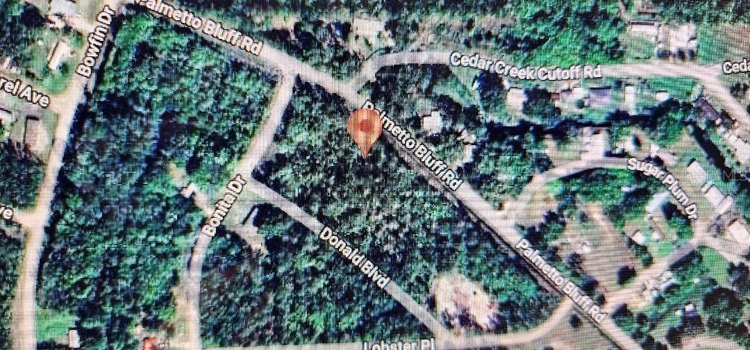 581 PALMETTO BLUFF RD, PALATKA, FL, 32177