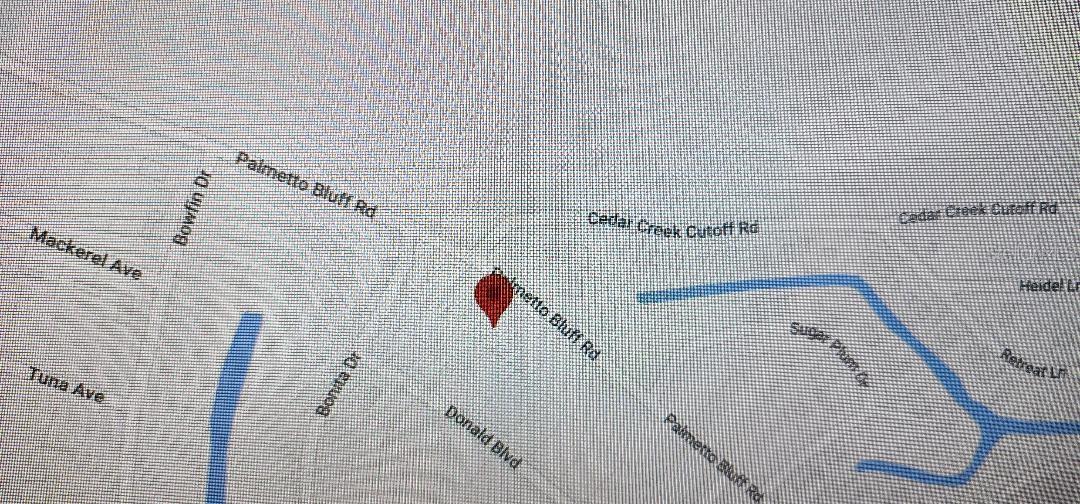 581 PALMETTO BLUFF RD, PALATKA, FL, 32177