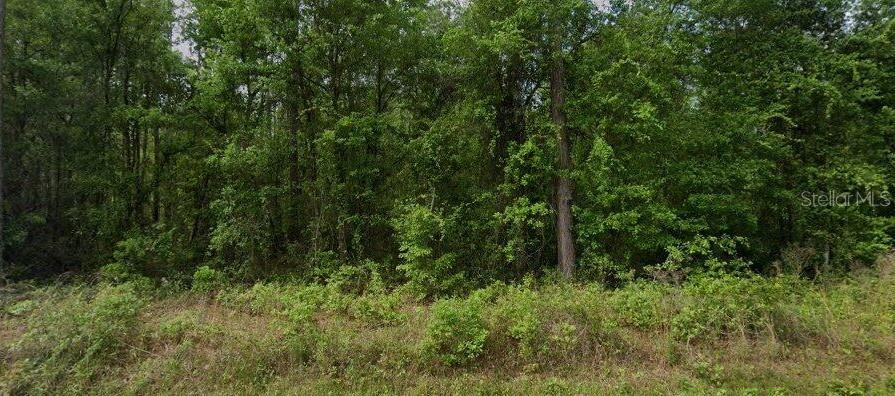 581 PALMETTO BLUFF RD, PALATKA, FL, 32177