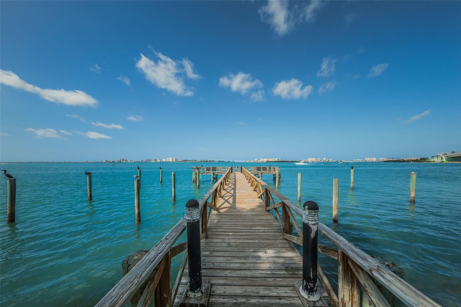 100 PIERCE ST #801, CLEARWATER, FL, 33756