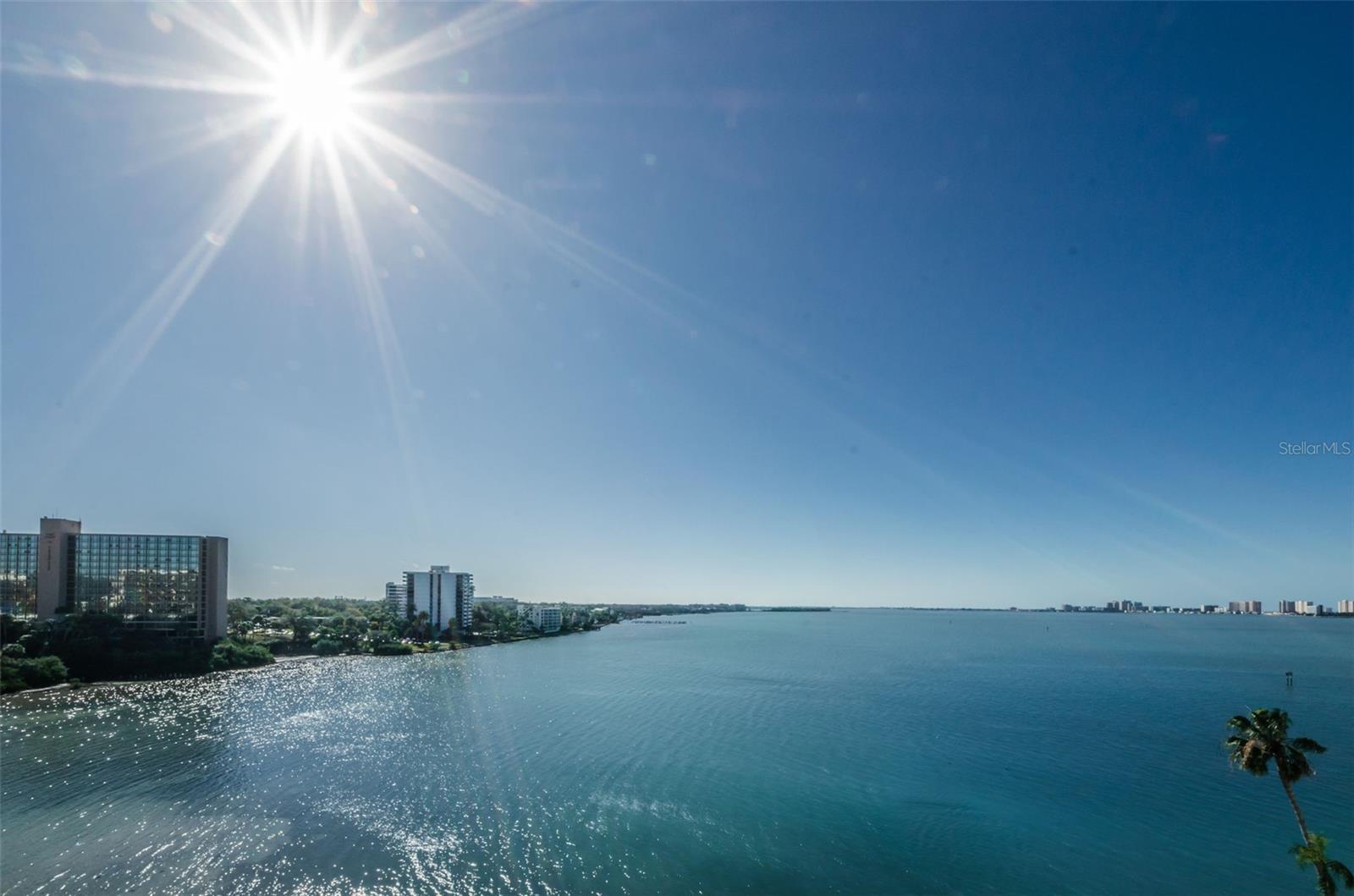 100 PIERCE ST #801, CLEARWATER, FL, 33756