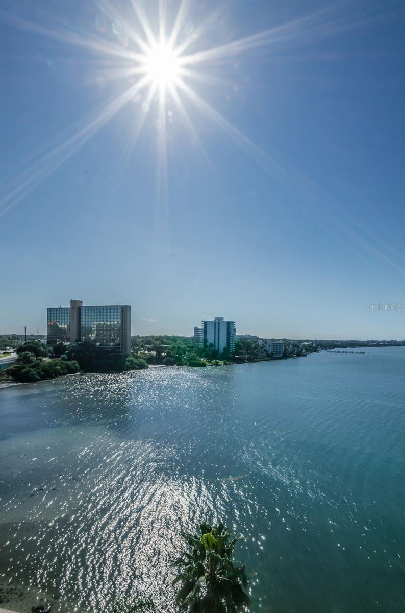 100 PIERCE ST #801, CLEARWATER, FL, 33756