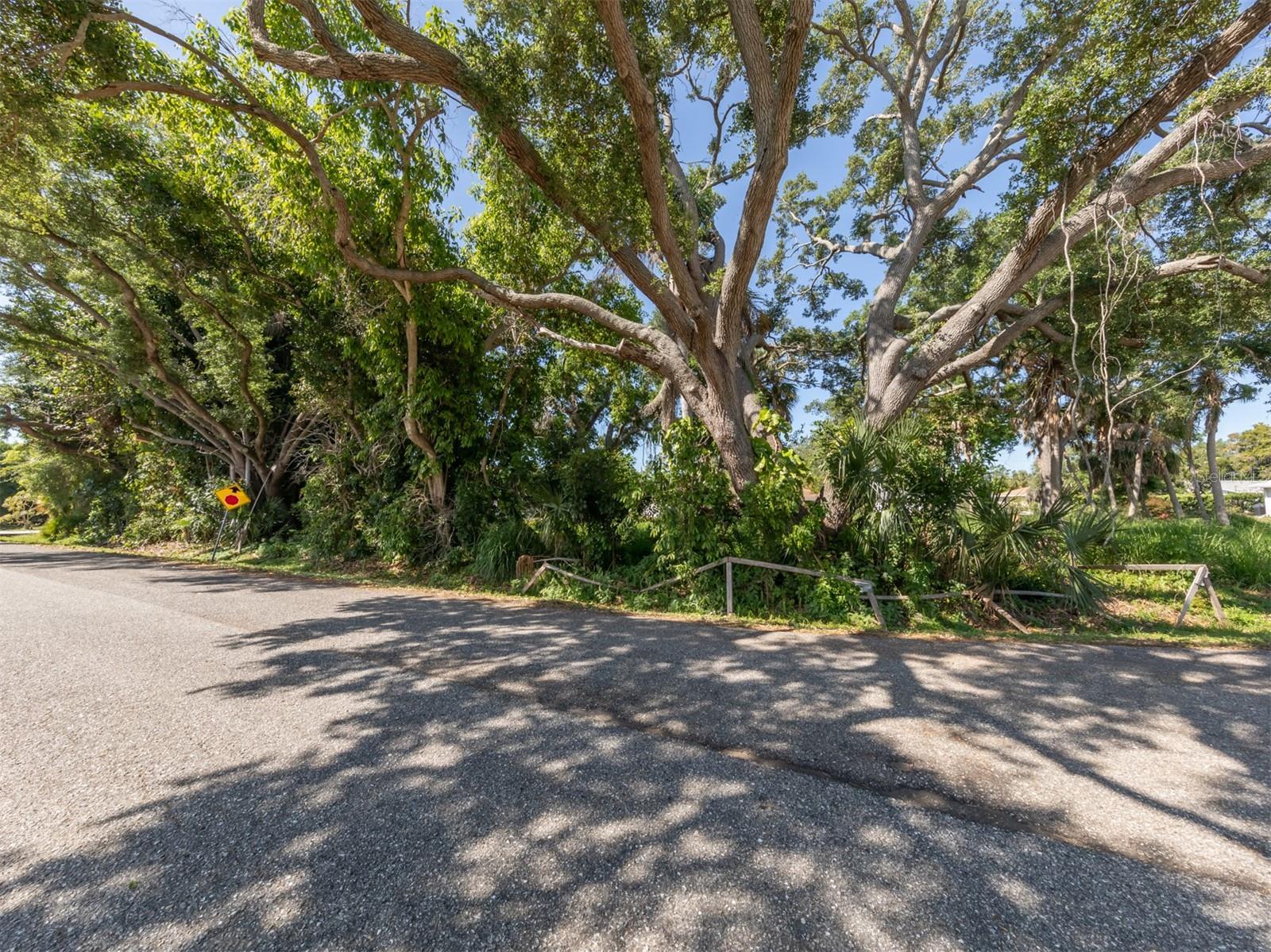 CHESTNUT RD, VENICE, FL, 34293