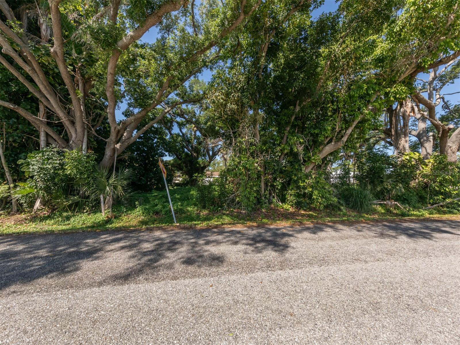 CHESTNUT RD, VENICE, FL, 34293