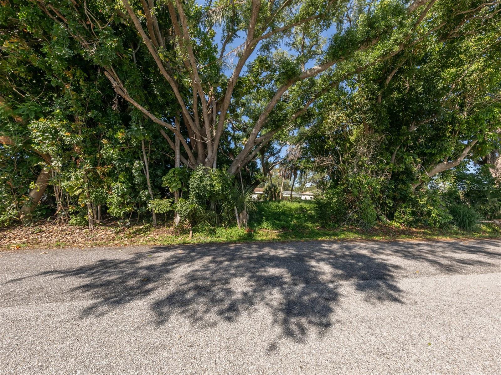 CHESTNUT RD, VENICE, FL, 34293
