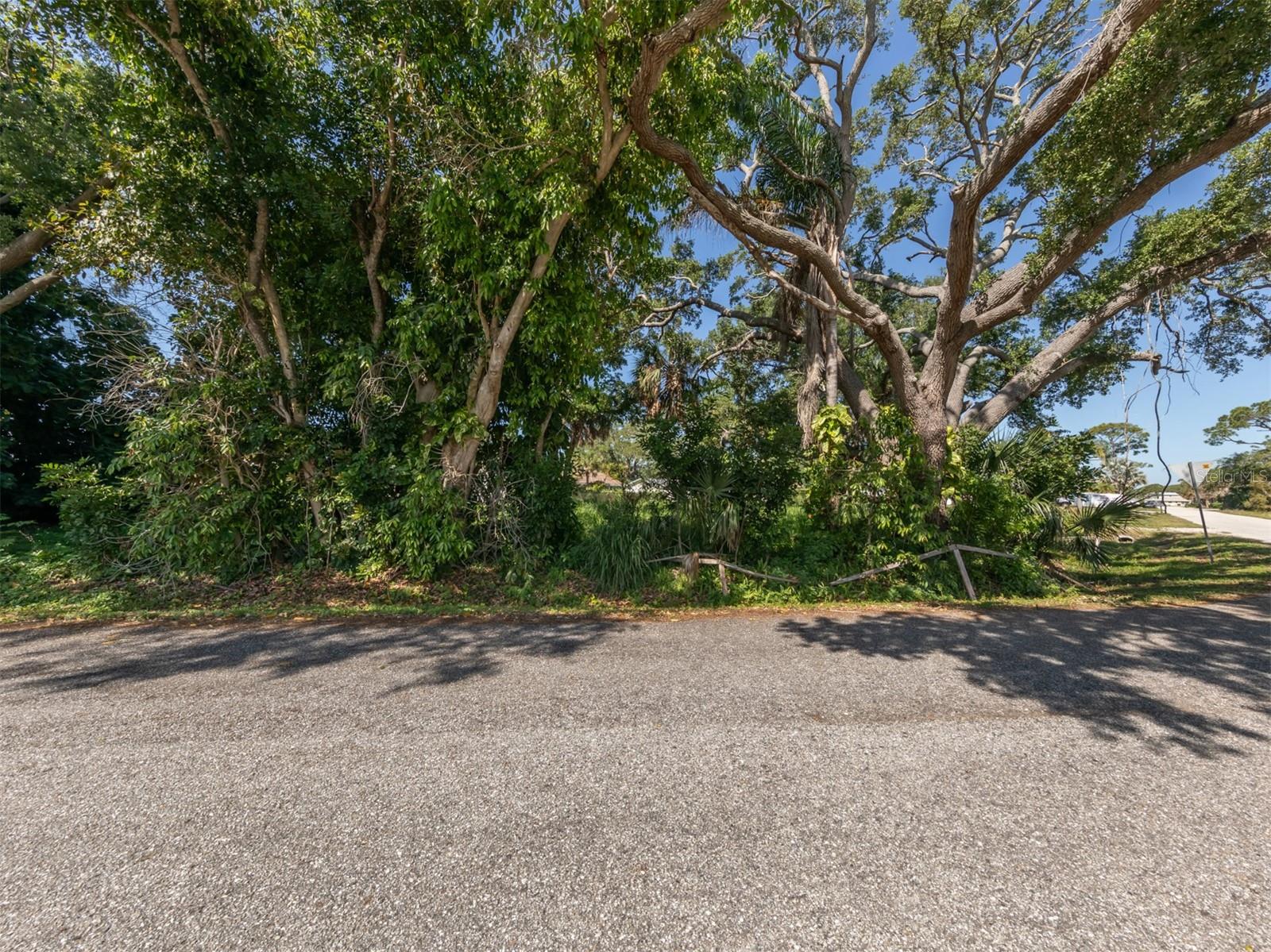 CHESTNUT RD, VENICE, FL, 34293