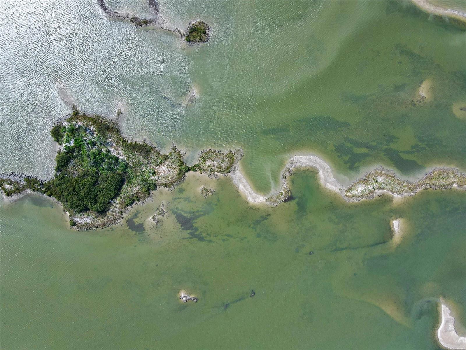 ISLAND, YANKEETOWN, FL, 34498