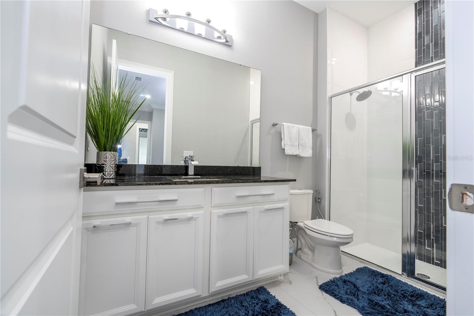 8042 LUDINGTON CIR, ORLANDO, FL, 32836