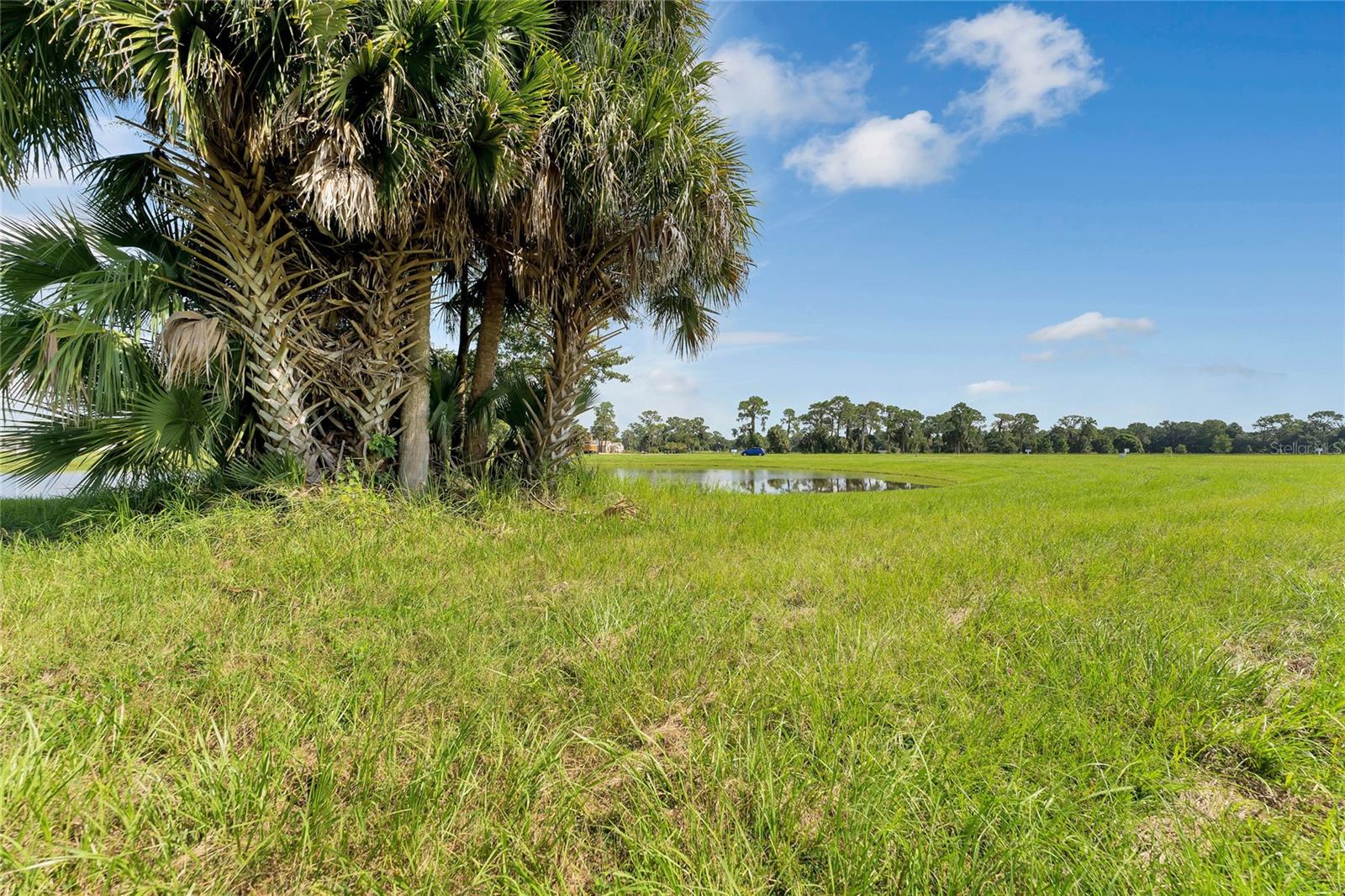 3430 LAKE DIANE RD, TAVARES, FL, 32778