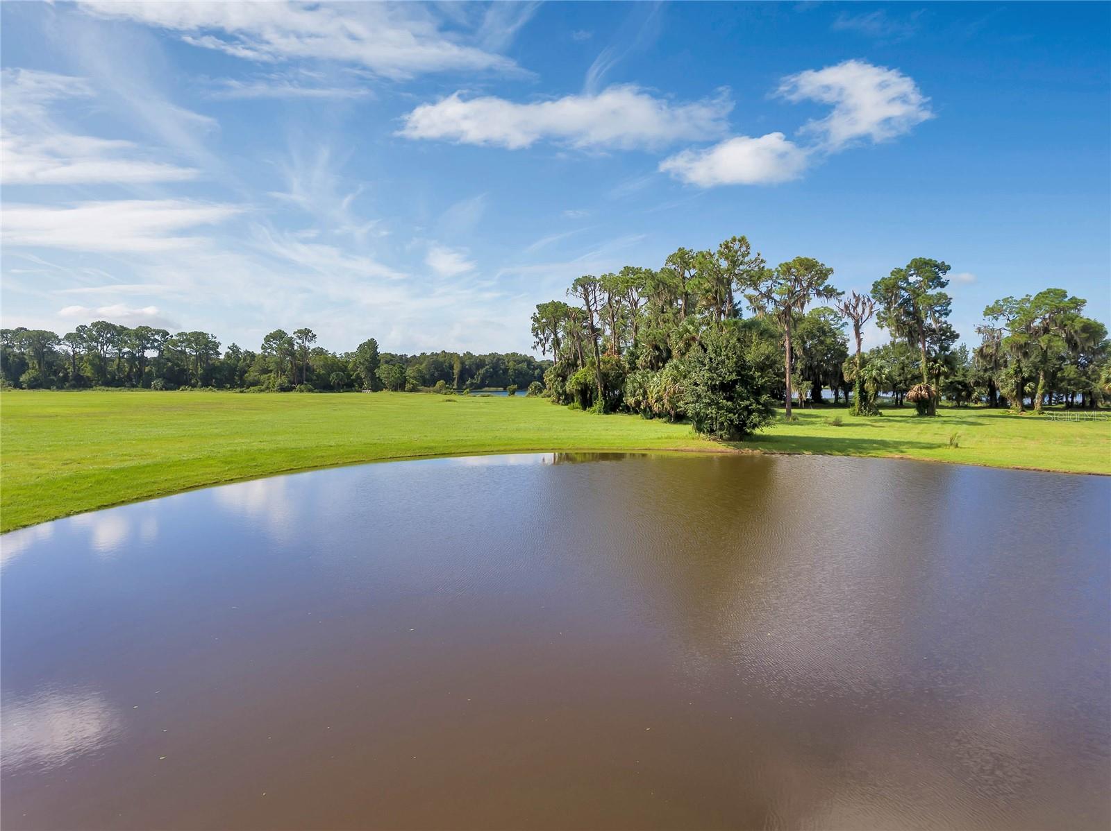 3430 LAKE DIANE RD, TAVARES, FL, 32778