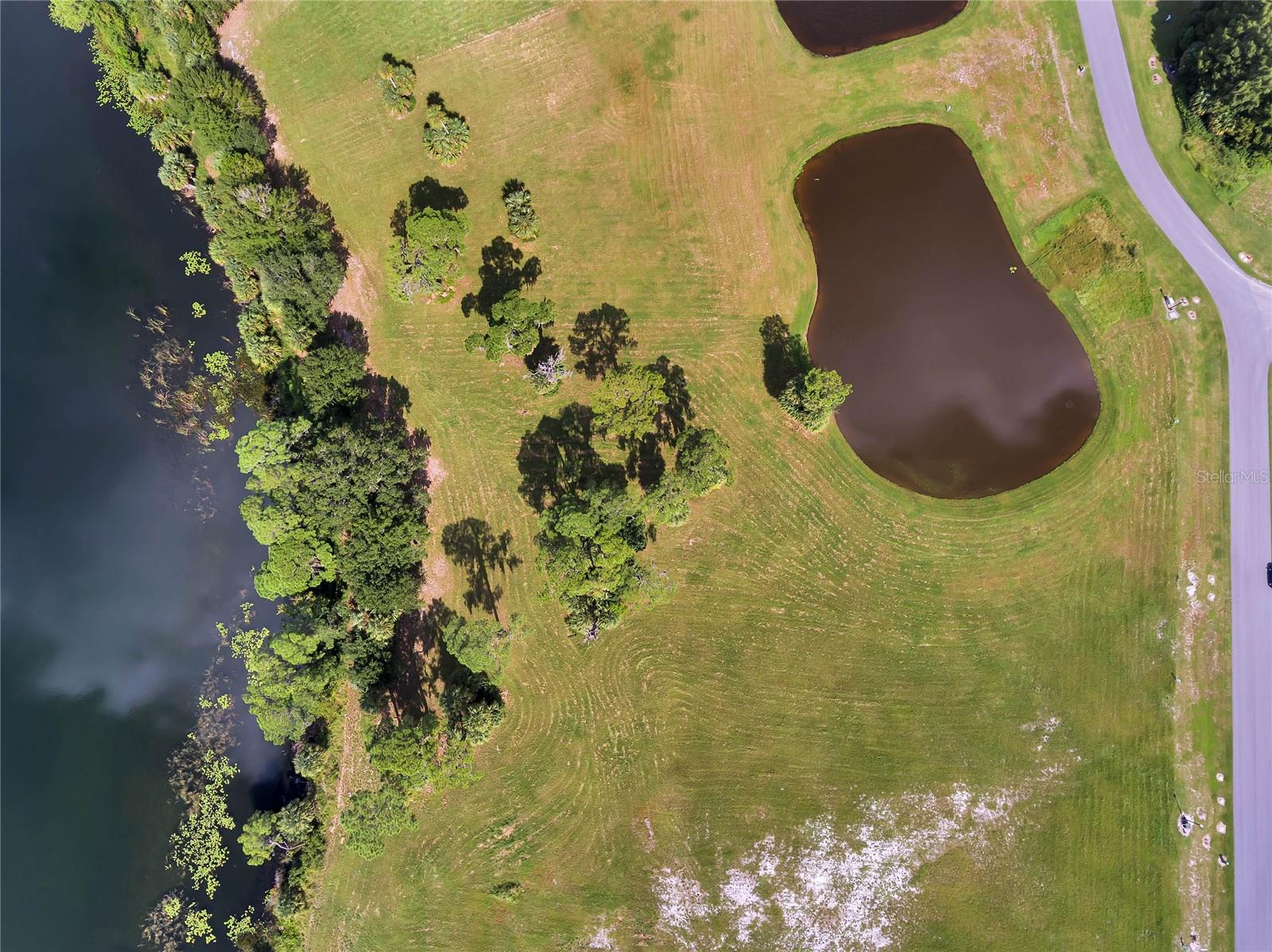 3430 LAKE DIANE RD, TAVARES, FL, 32778