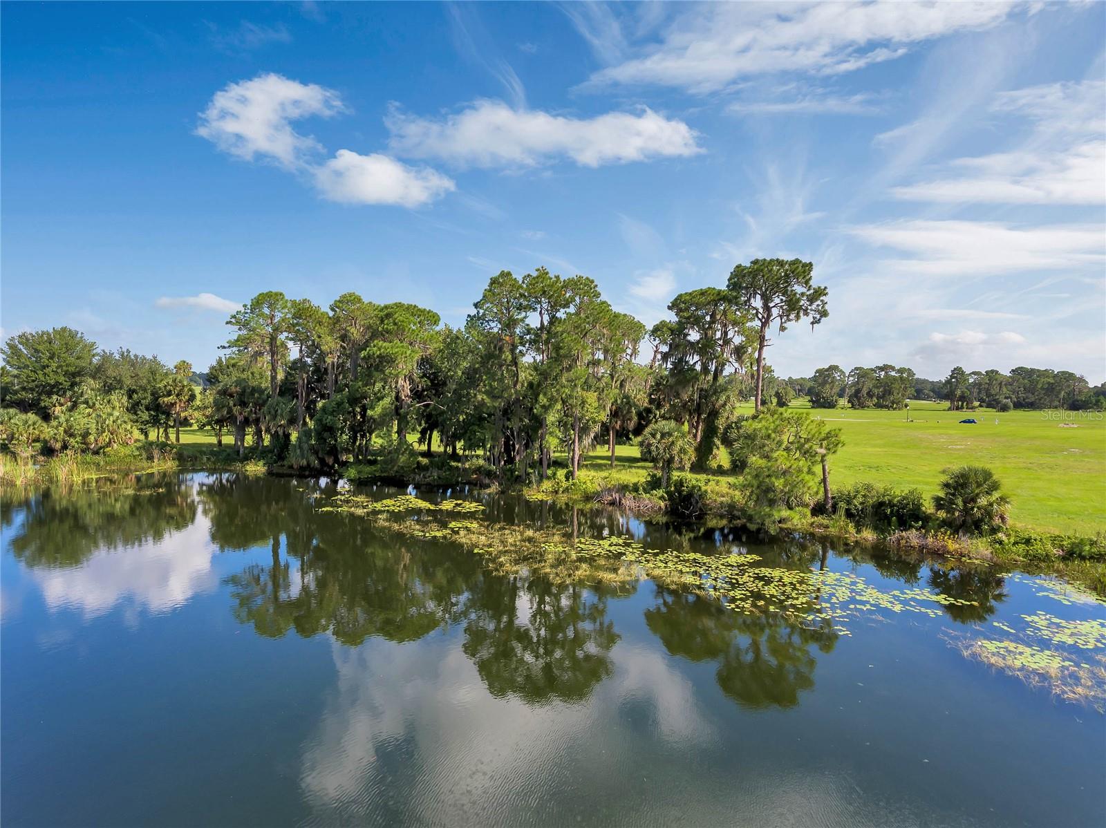 3430 LAKE DIANE RD, TAVARES, FL, 32778