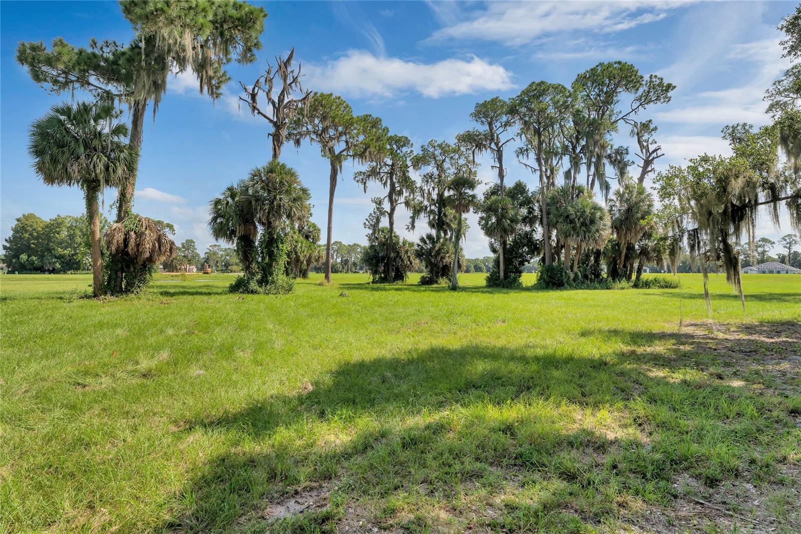 3430 LAKE DIANE RD, TAVARES, FL, 32778