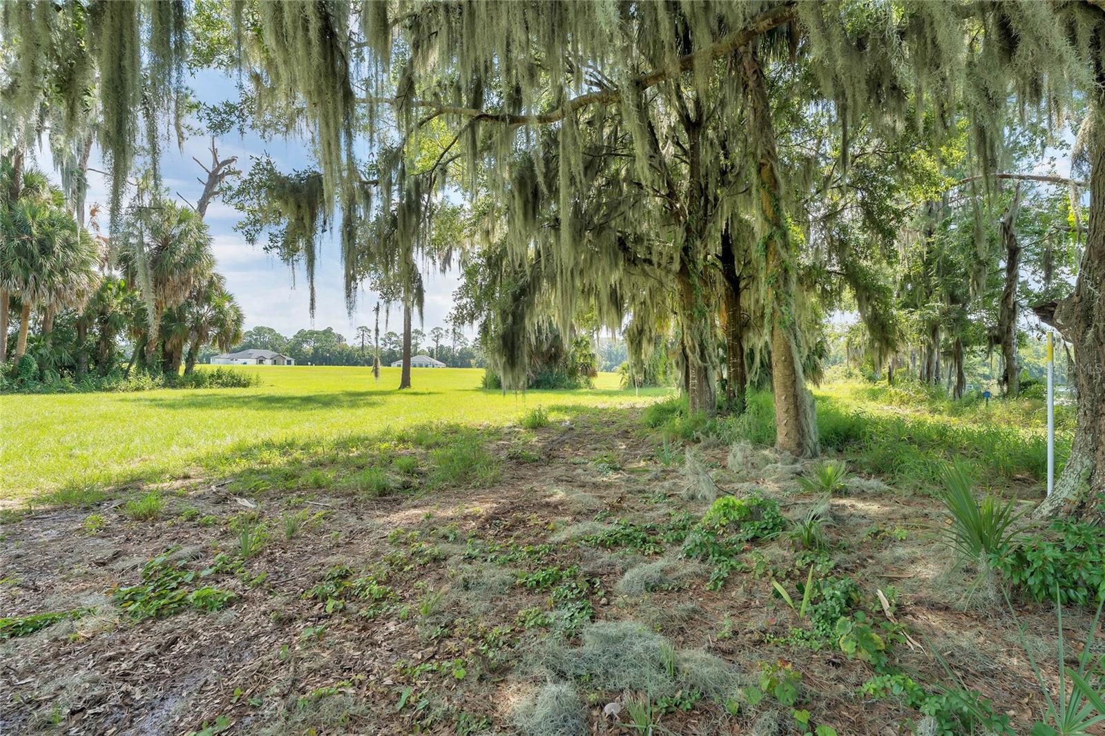 3430 LAKE DIANE RD, TAVARES, FL, 32778